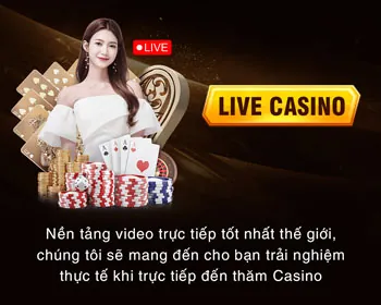 Casino tg88cm